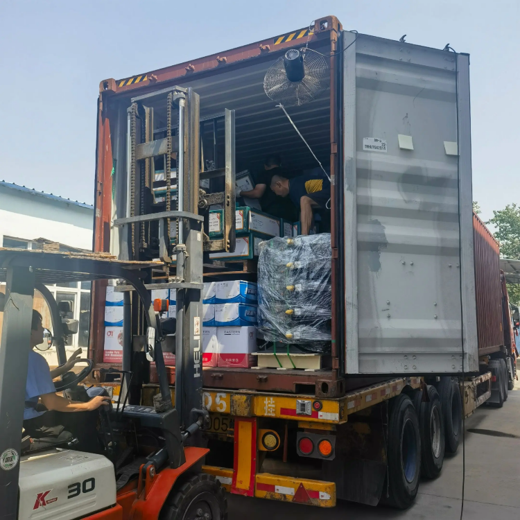 SKYOND Pezaj Kamionaj Partoj - Vetu Facile, Fidindaj Ĉie!